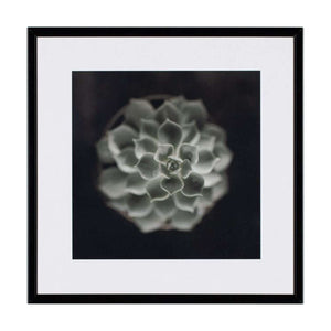 Картина 21 X 21 CACTUS II