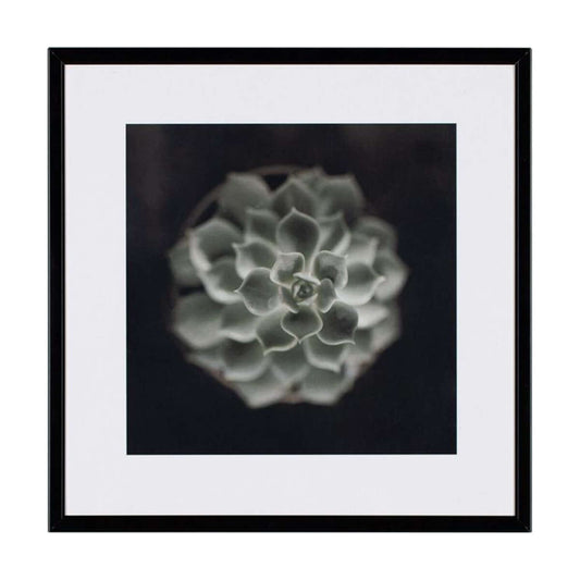 Картина 21 X 21 CACTUS II