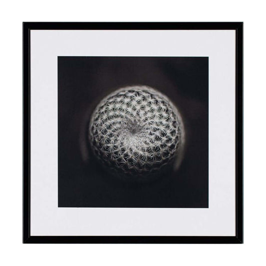 Картина 21 X 21 CACTUS III
