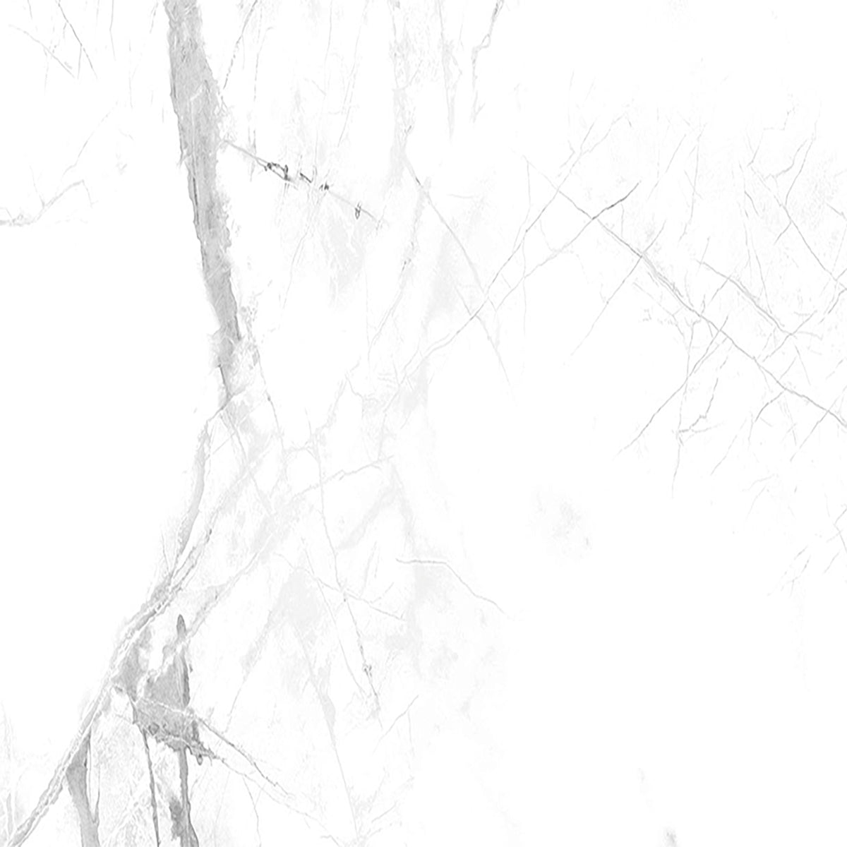 SPC СТЕННИ ПАНЕЛИ Calacatta Snow мат