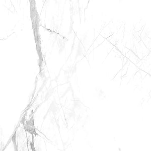 SPC СТЕННИ ПАНЕЛИ Calacatta Snow мат
