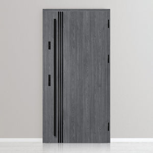 Входна врата ALTA 1