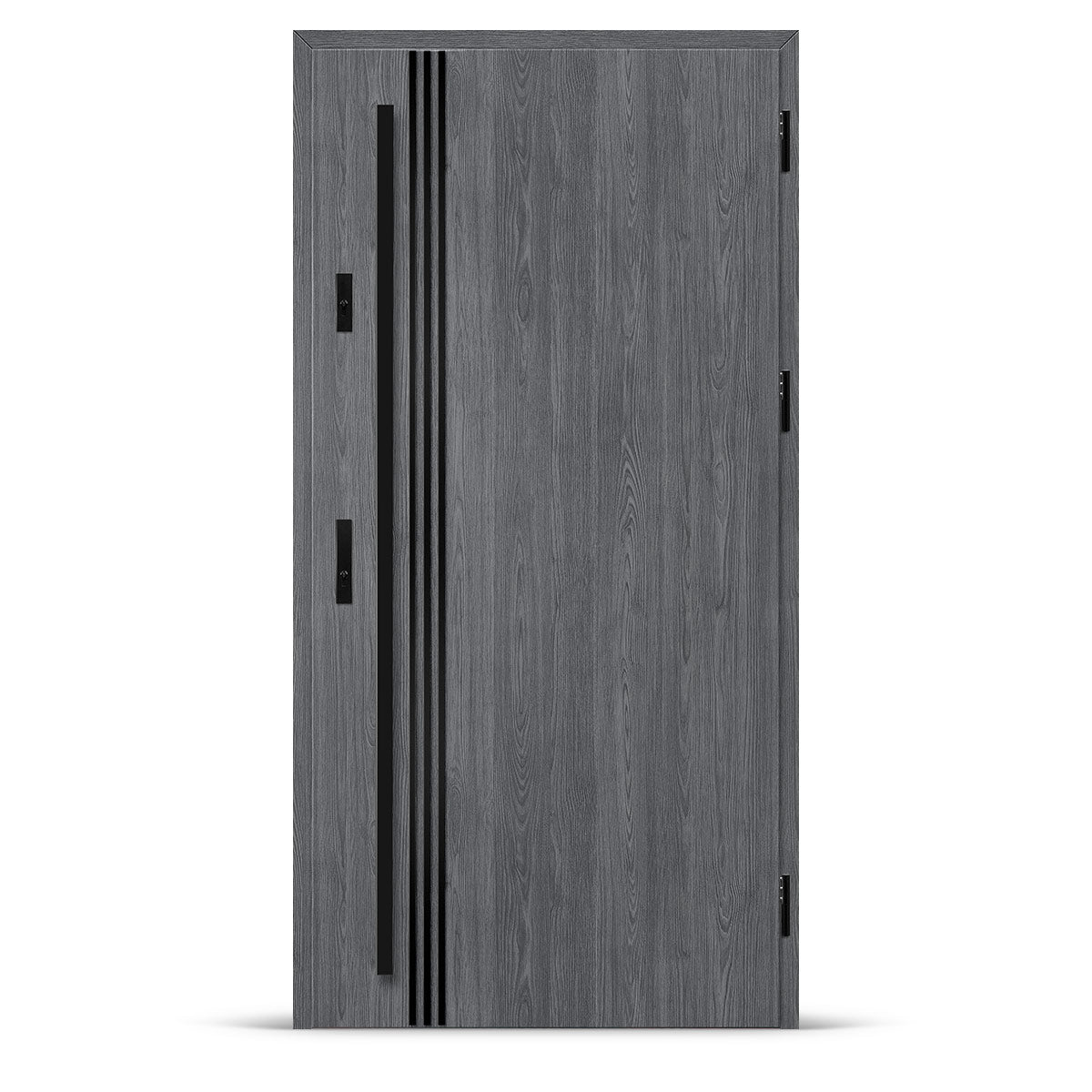 Входна врата ALTA 1