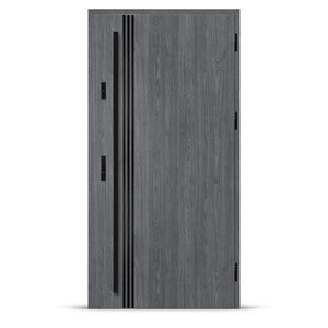 Входна врата ALTA 1