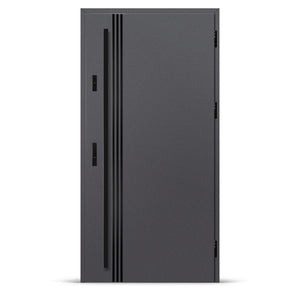 Входна врата ALTA 1