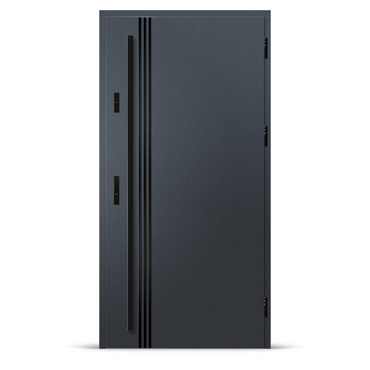 Входна врата ALTA 1