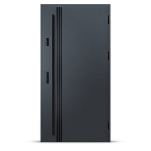 Входна врата ALTA 1