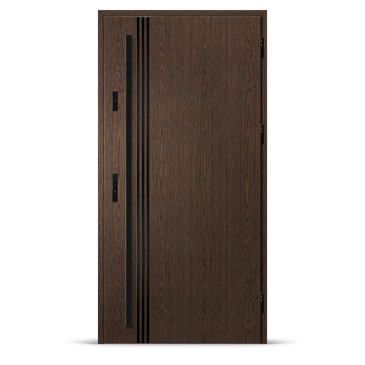 Входна врата ALTA 1