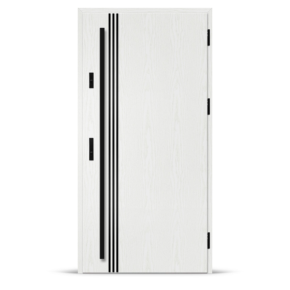 Входна врата ALTA 1