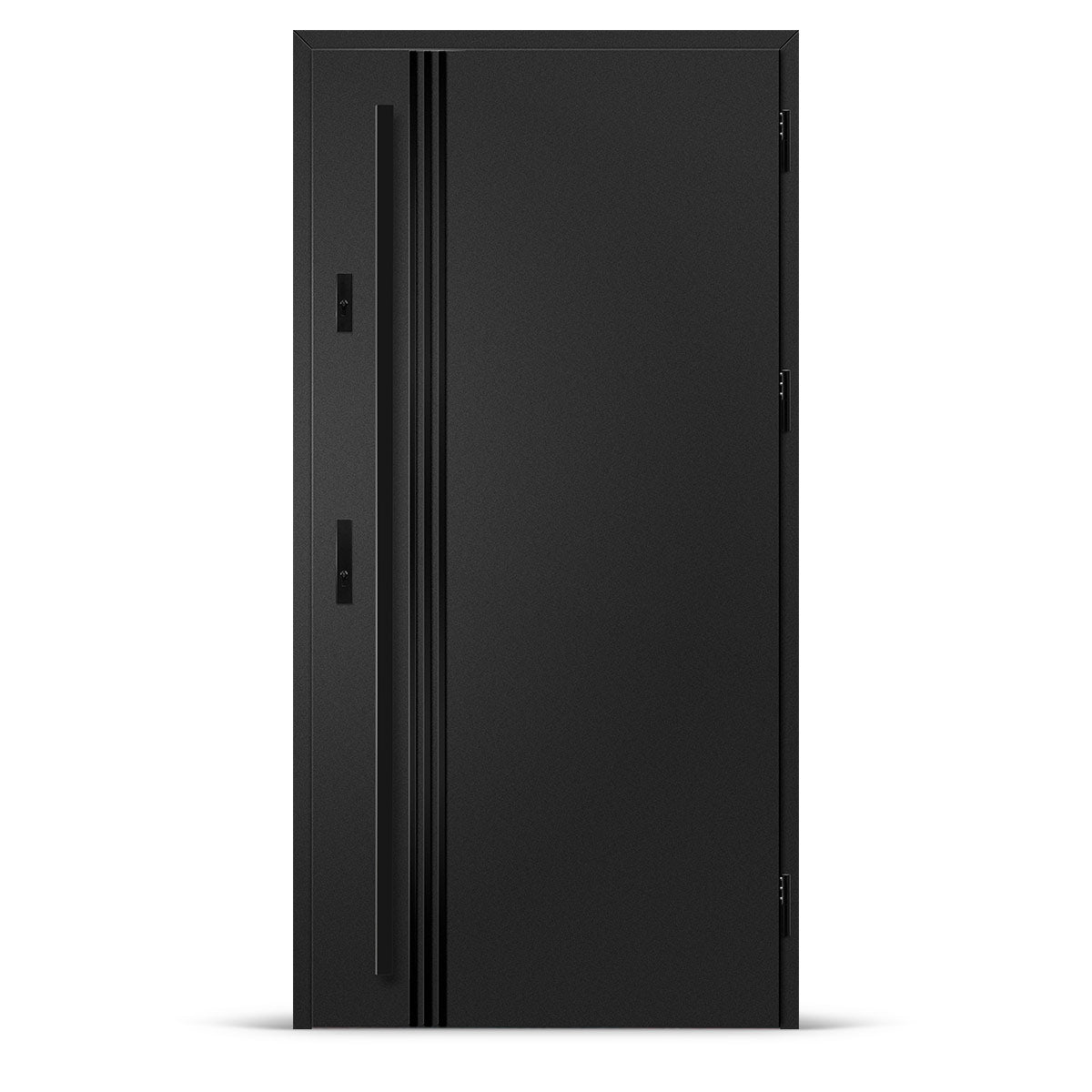 Входна врата ALTA 1