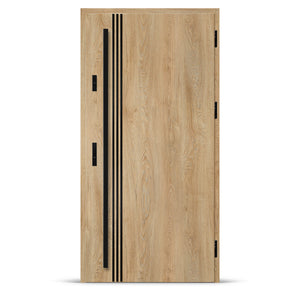 Входна врата ALTA 1