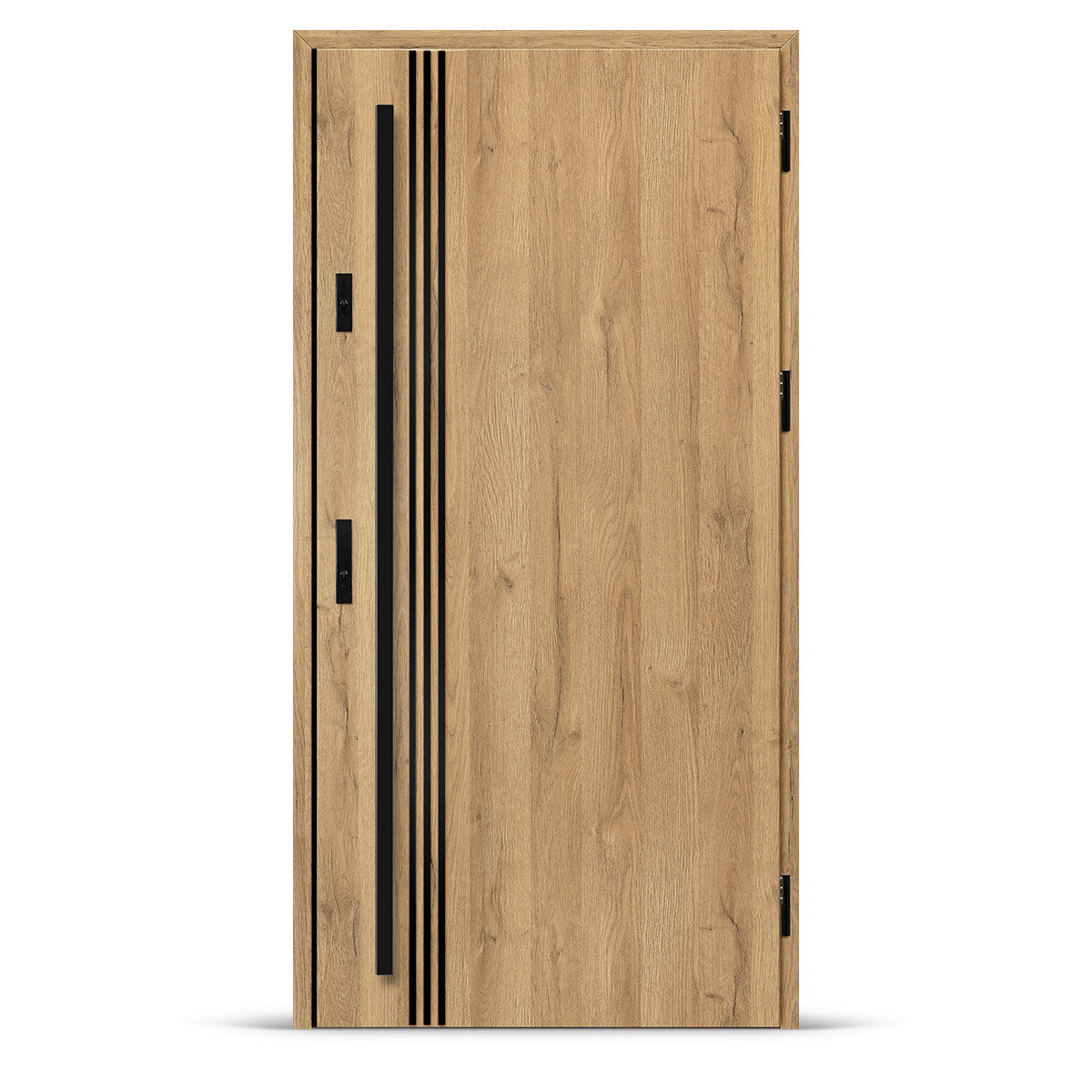 Входна врата ALTA 1