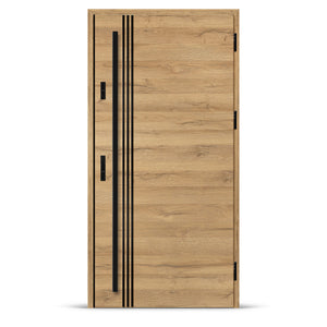 Входна врата ALTA 1