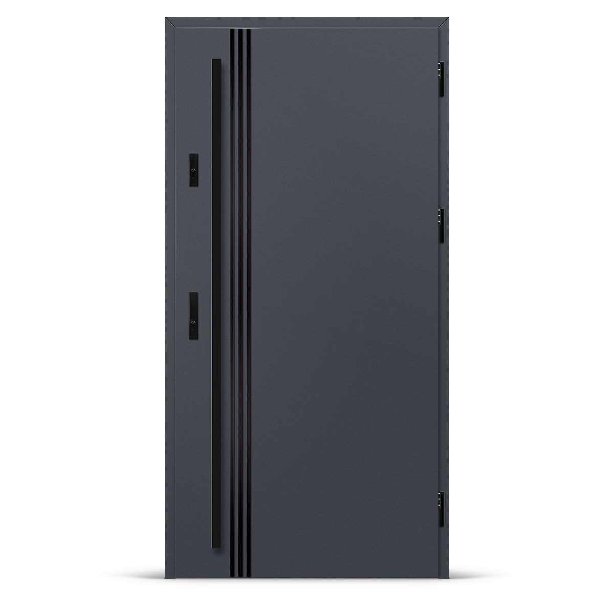 Входна врата ALTA 1