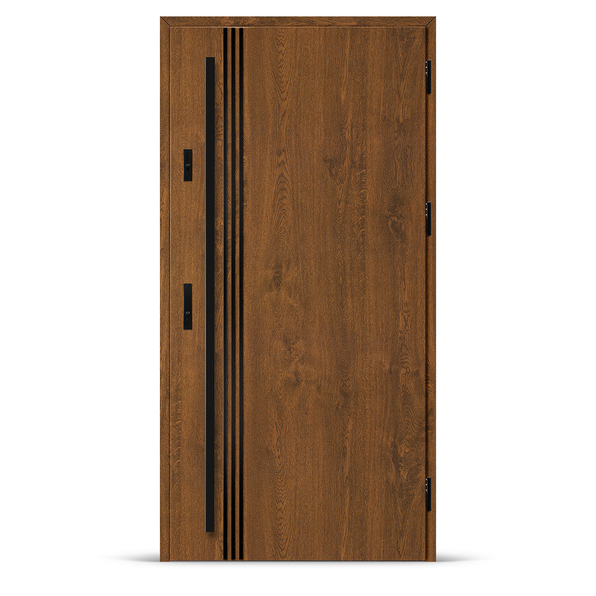 Входна врата ALTA 1