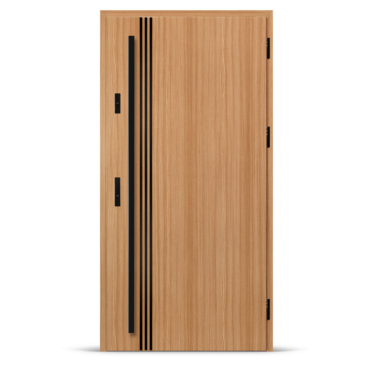 Входна врата ALTA 1