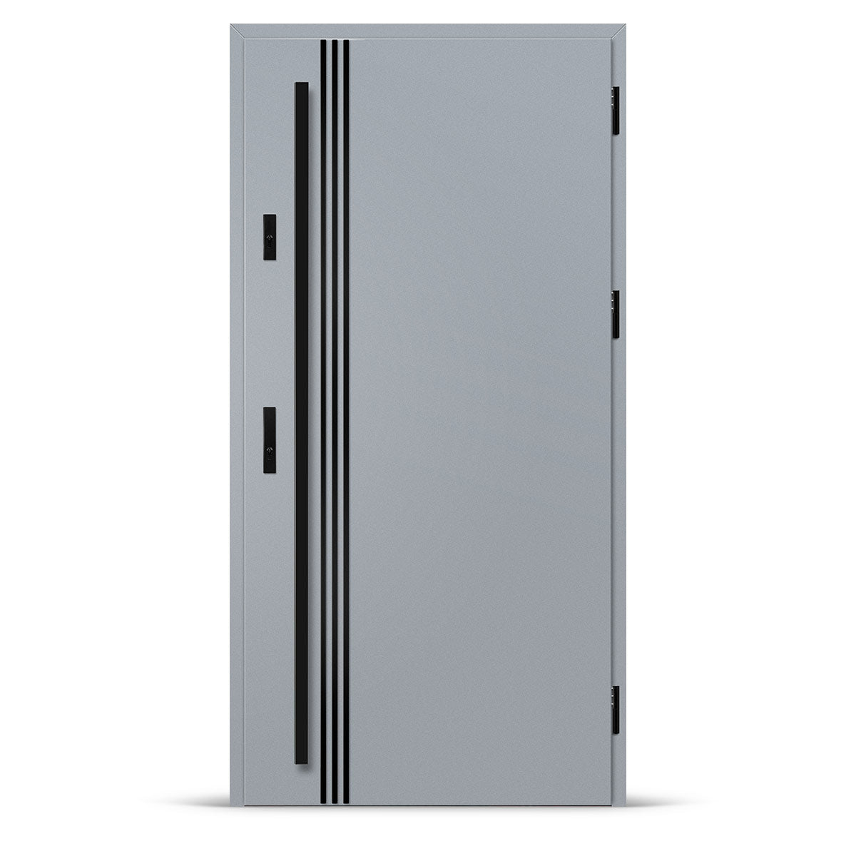 Входна врата ALTA 1