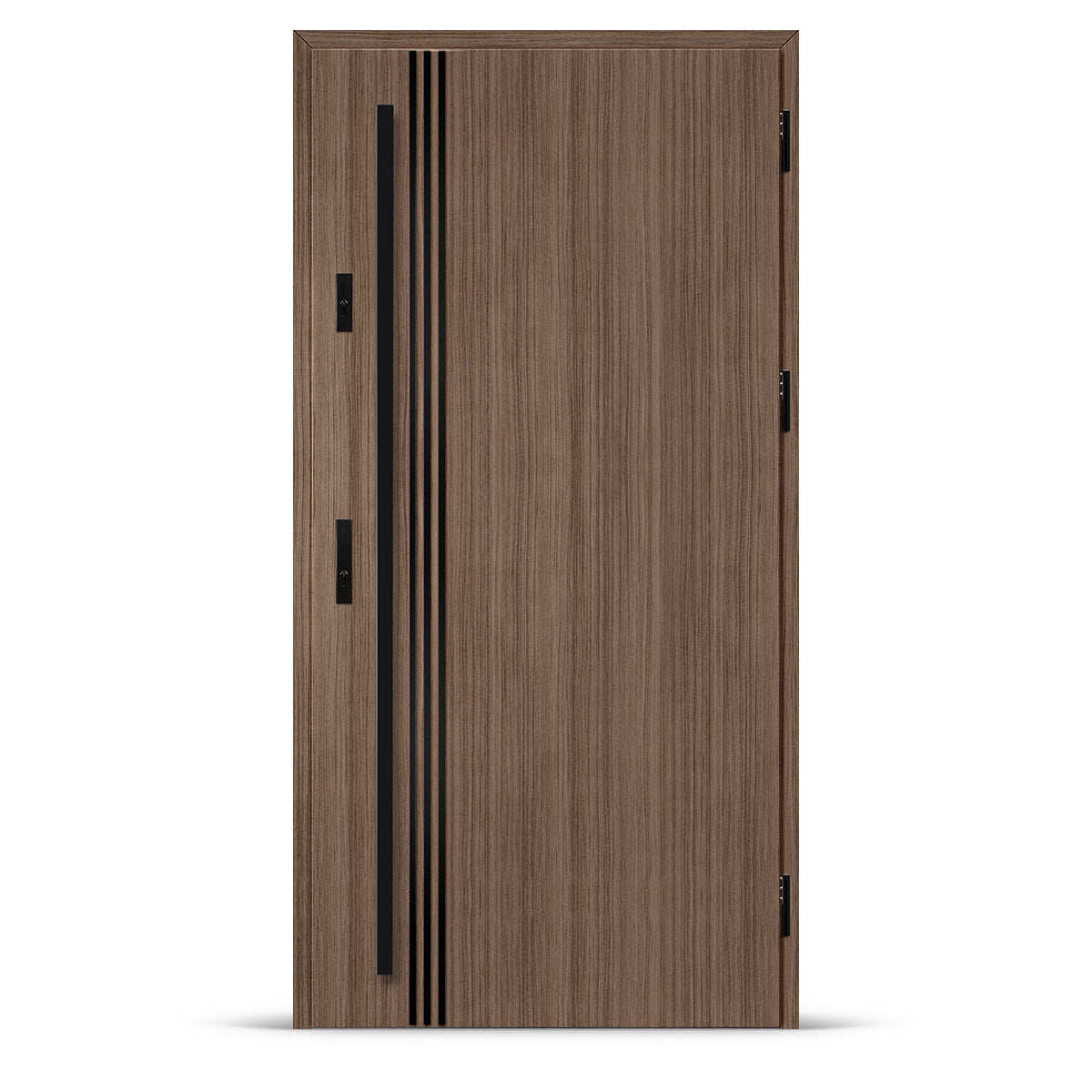 Входна врата ALTA 1