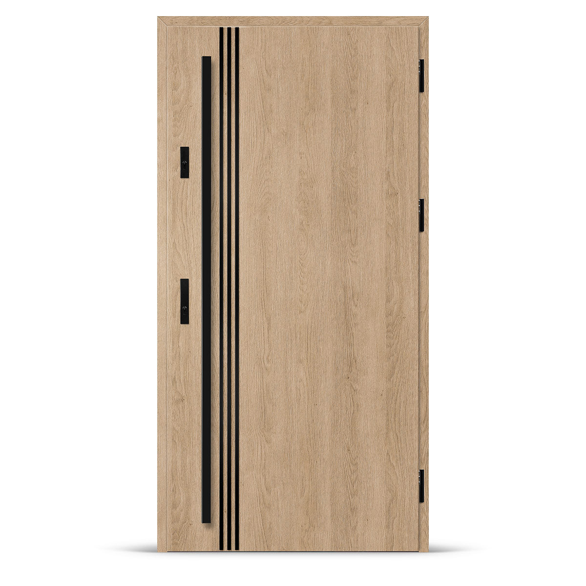 Входна врата ALTA 1