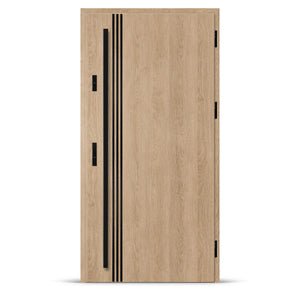 Входна врата ALTA 1