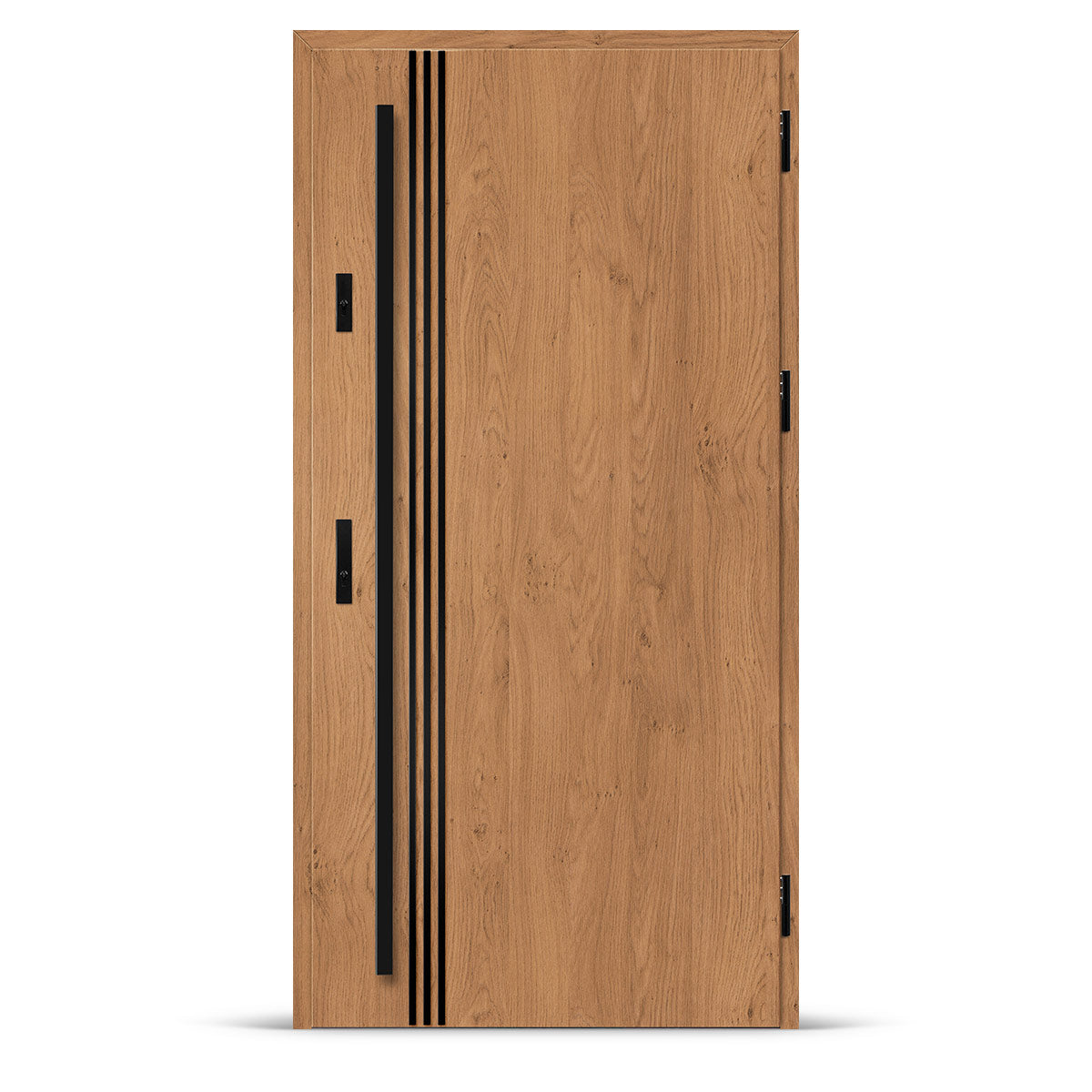 Входна врата ALTA 1