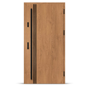 Входна врата ALTA 1