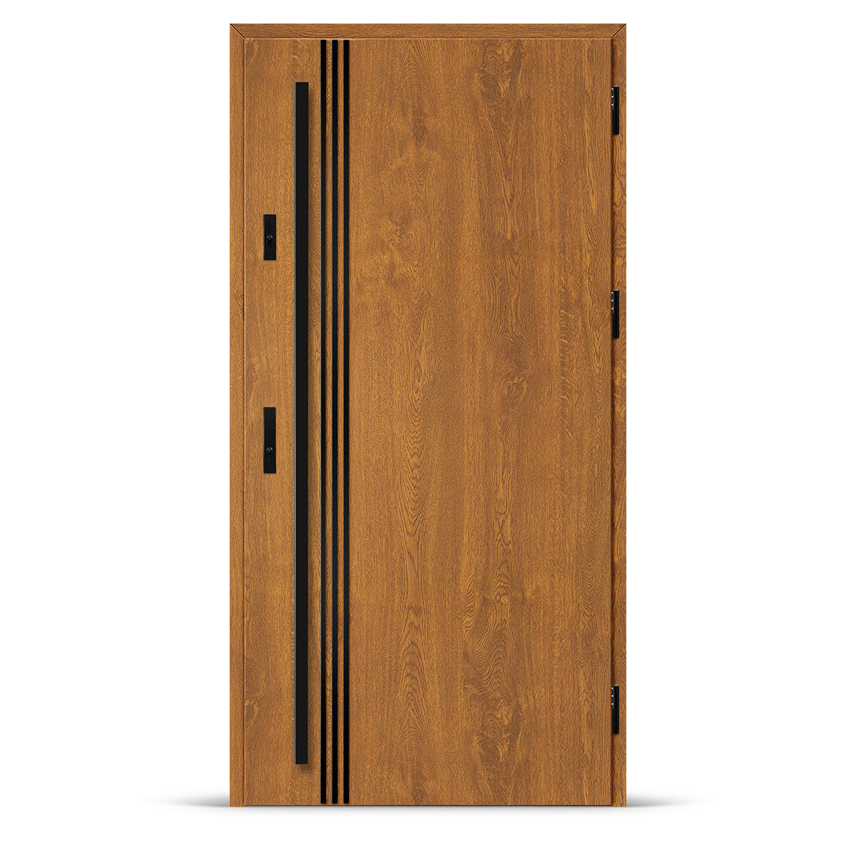 Входна врата ALTA 1