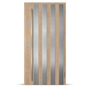 Входна врата ALTA 10