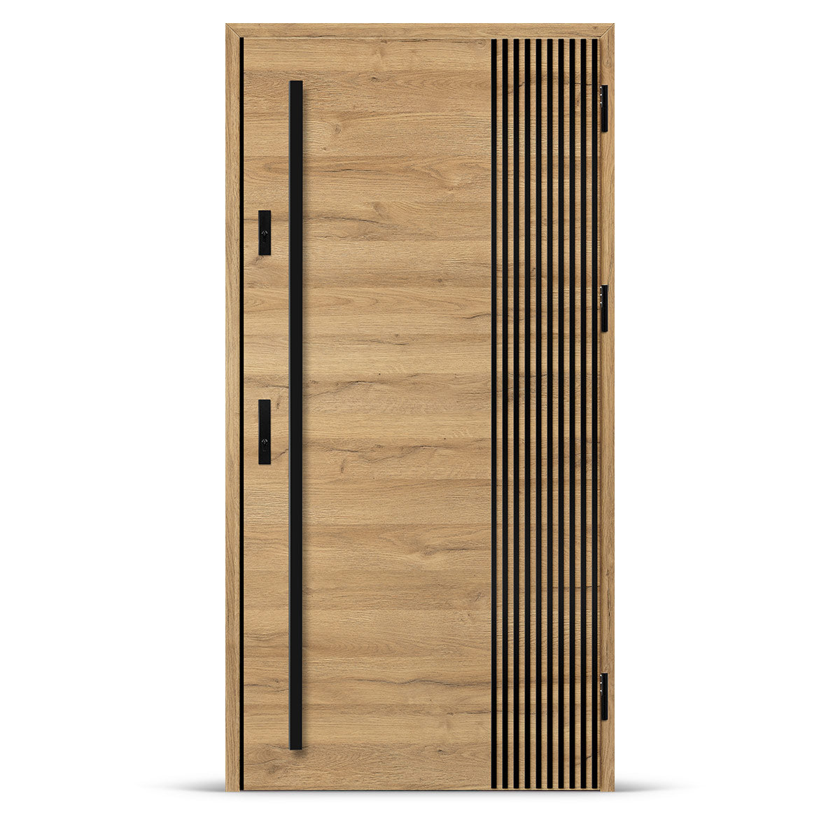 Входна врата ALTA 3