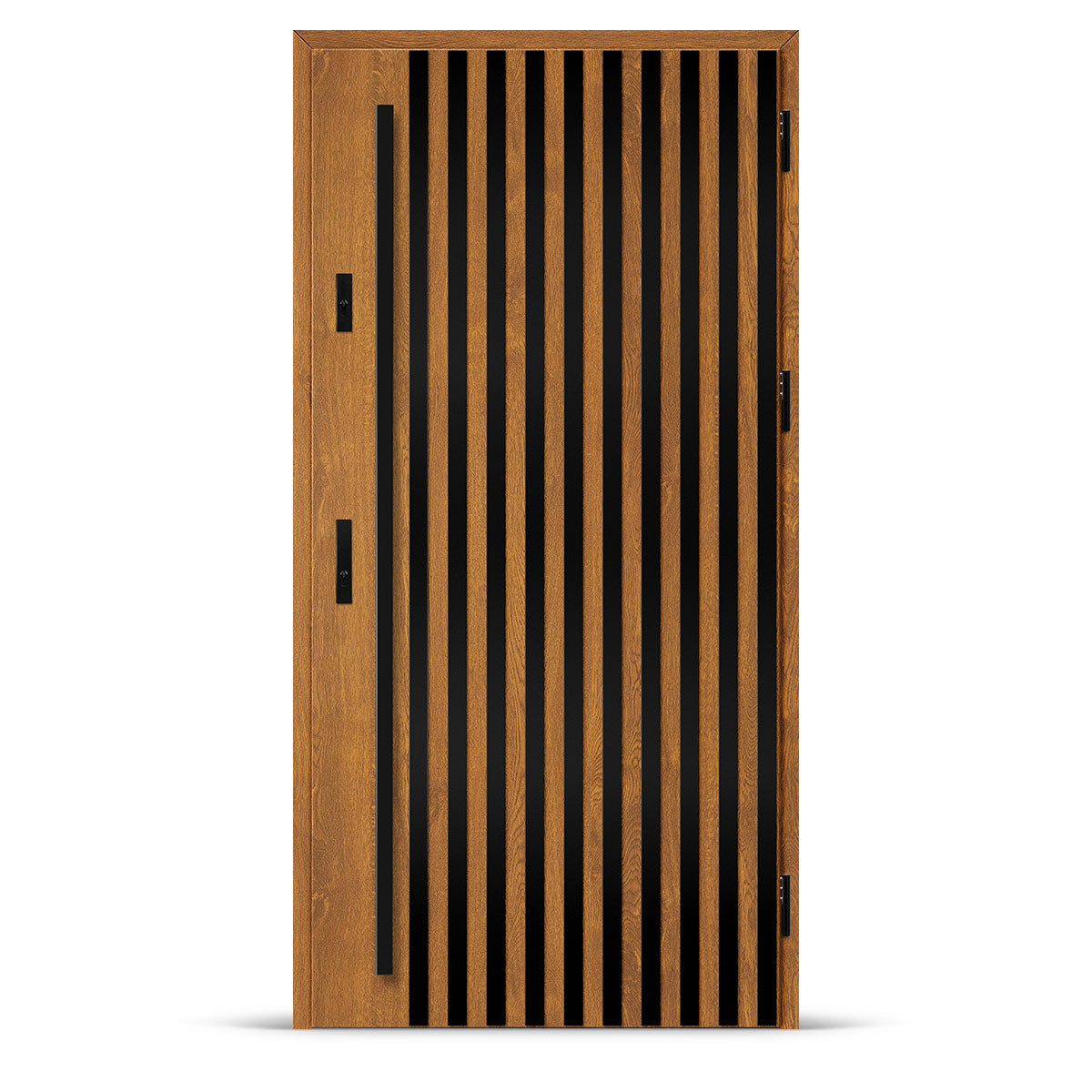 Входна врата ALTA 4