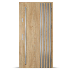 Входна врата ALTA 6