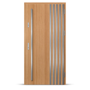 Входна врата ALTA 6