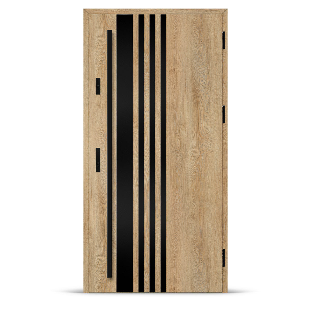 Входна врата ALTA 9