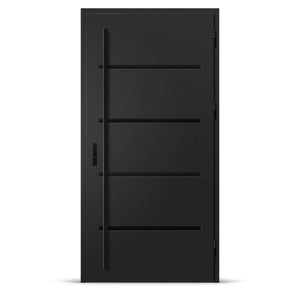 Входна врата BIENE 2