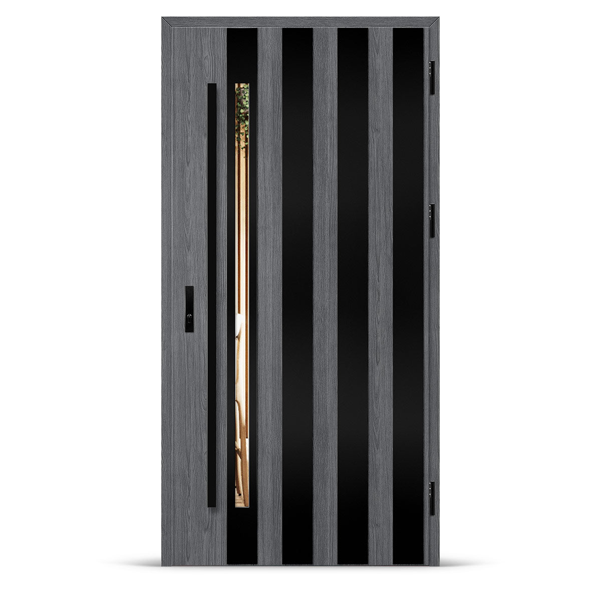 Входна врата LANGEN 10