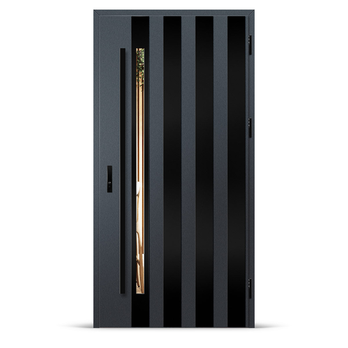 Входна врата LANGEN 10