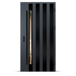 Входна врата LANGEN 10