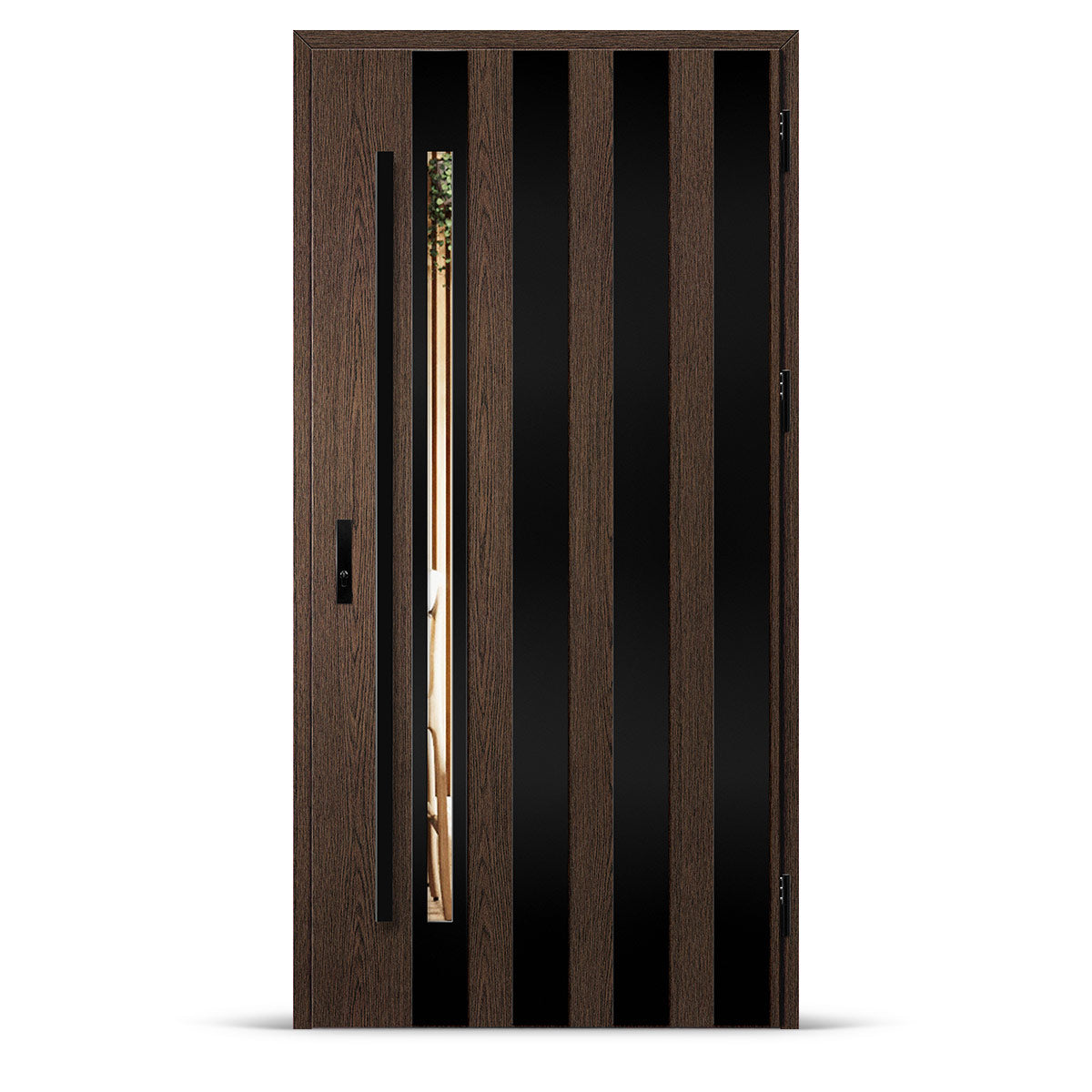 Входна врата LANGEN 10