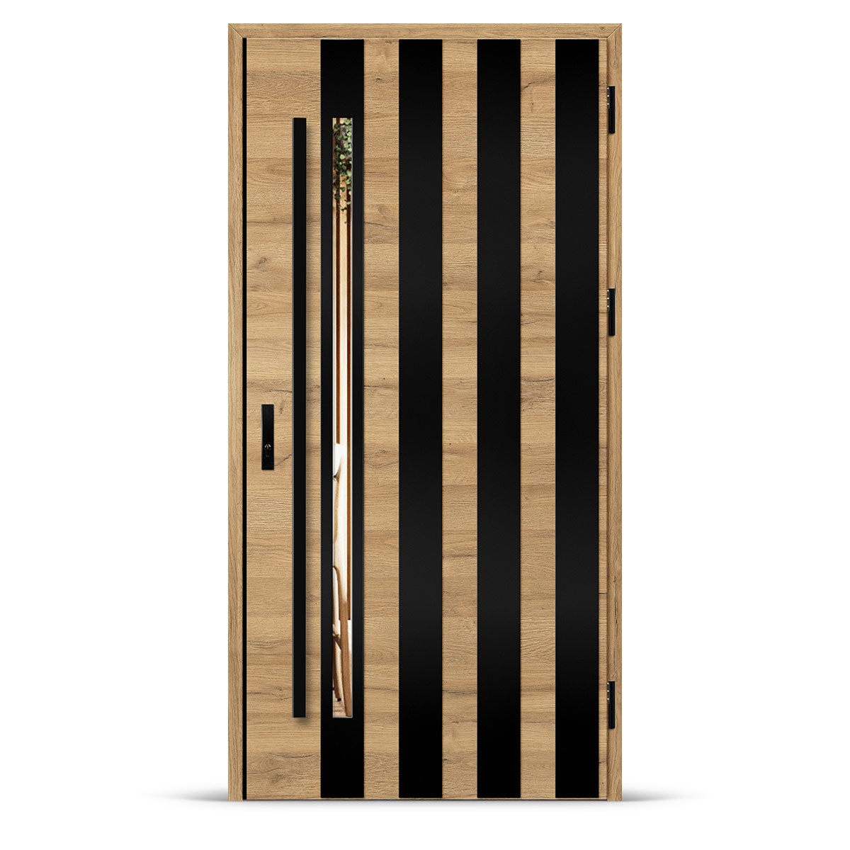 Входна врата LANGEN 10