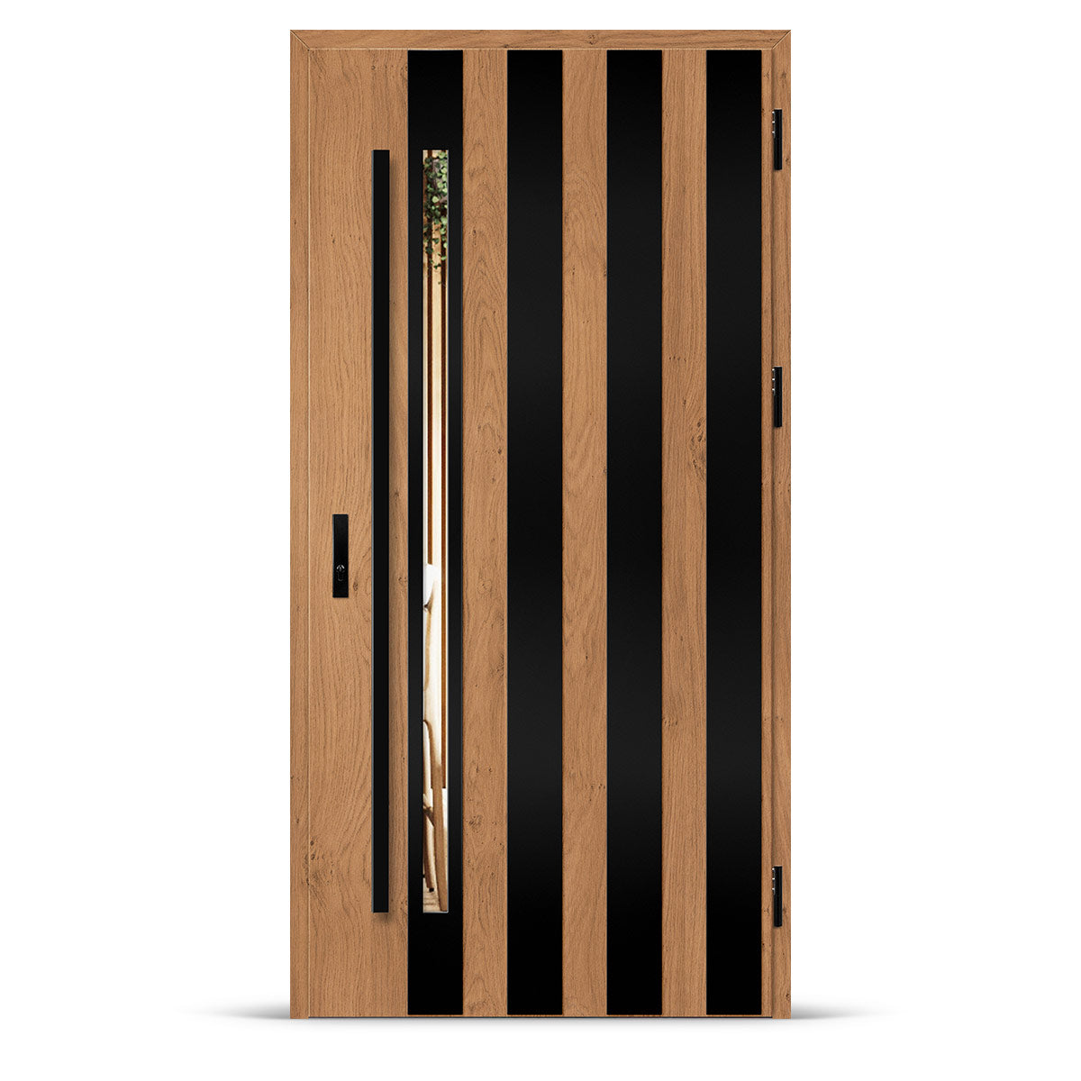 Входна врата LANGEN 10