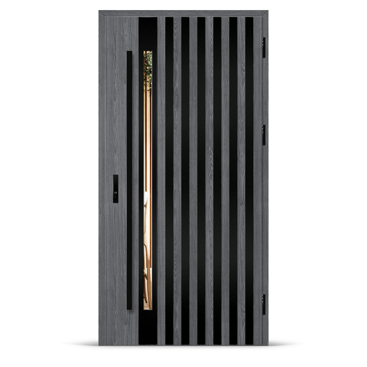 Входна врата LANGEN 12