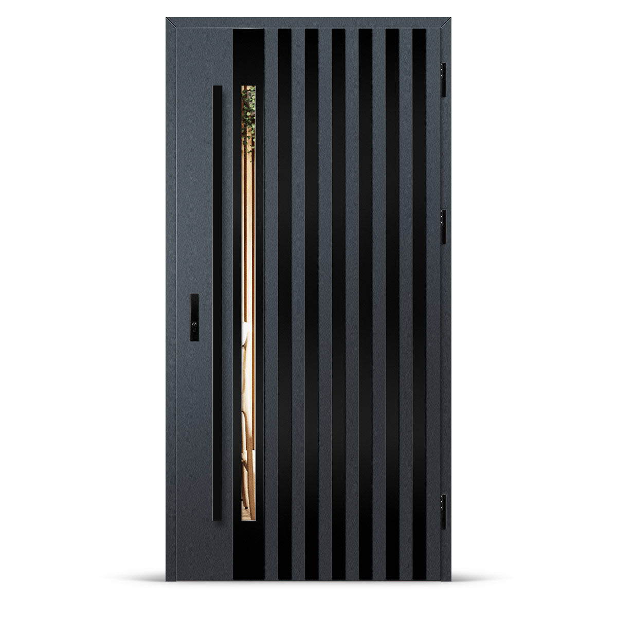 Входна врата LANGEN 12