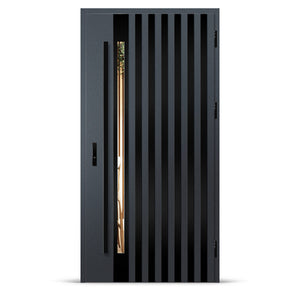 Входна врата LANGEN 12