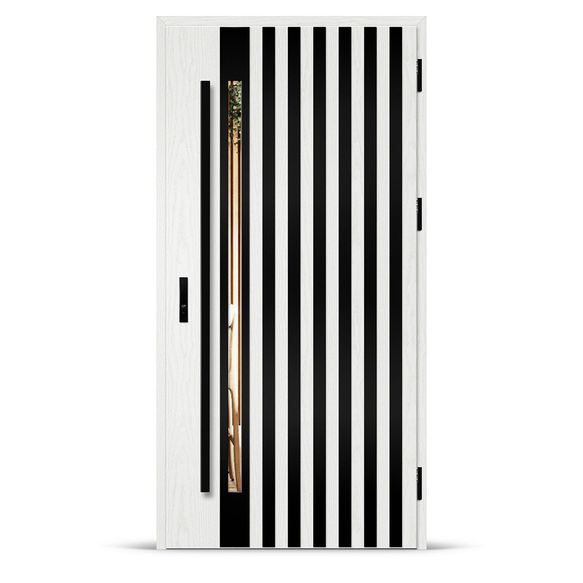 Входна врата LANGEN 12