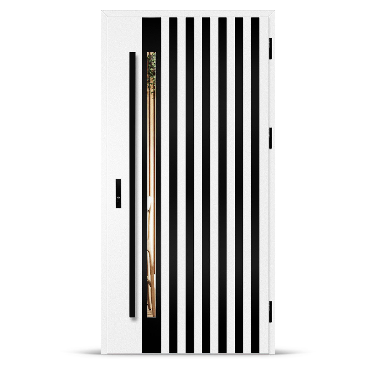 Входна врата LANGEN 12