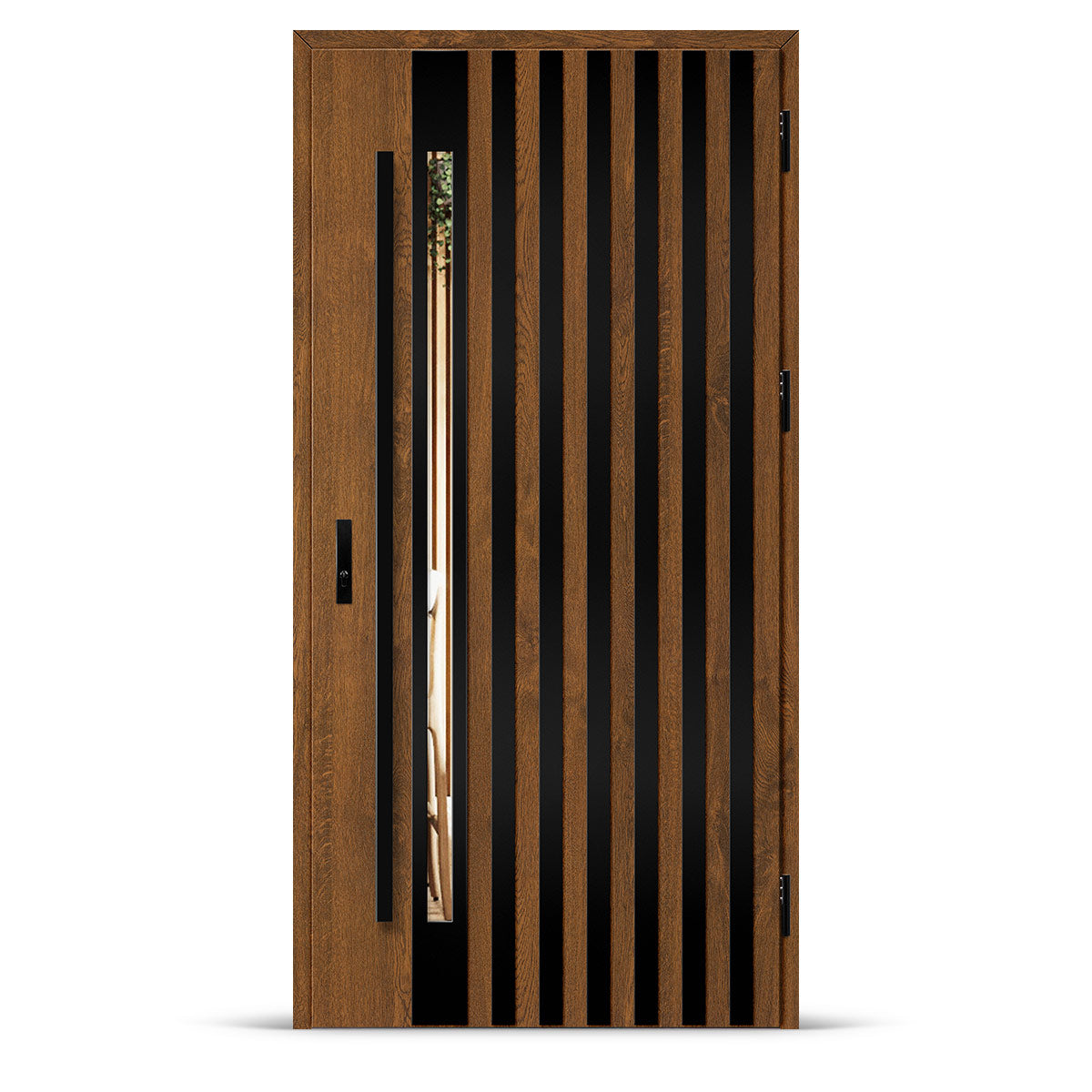 Входна врата LANGEN 12