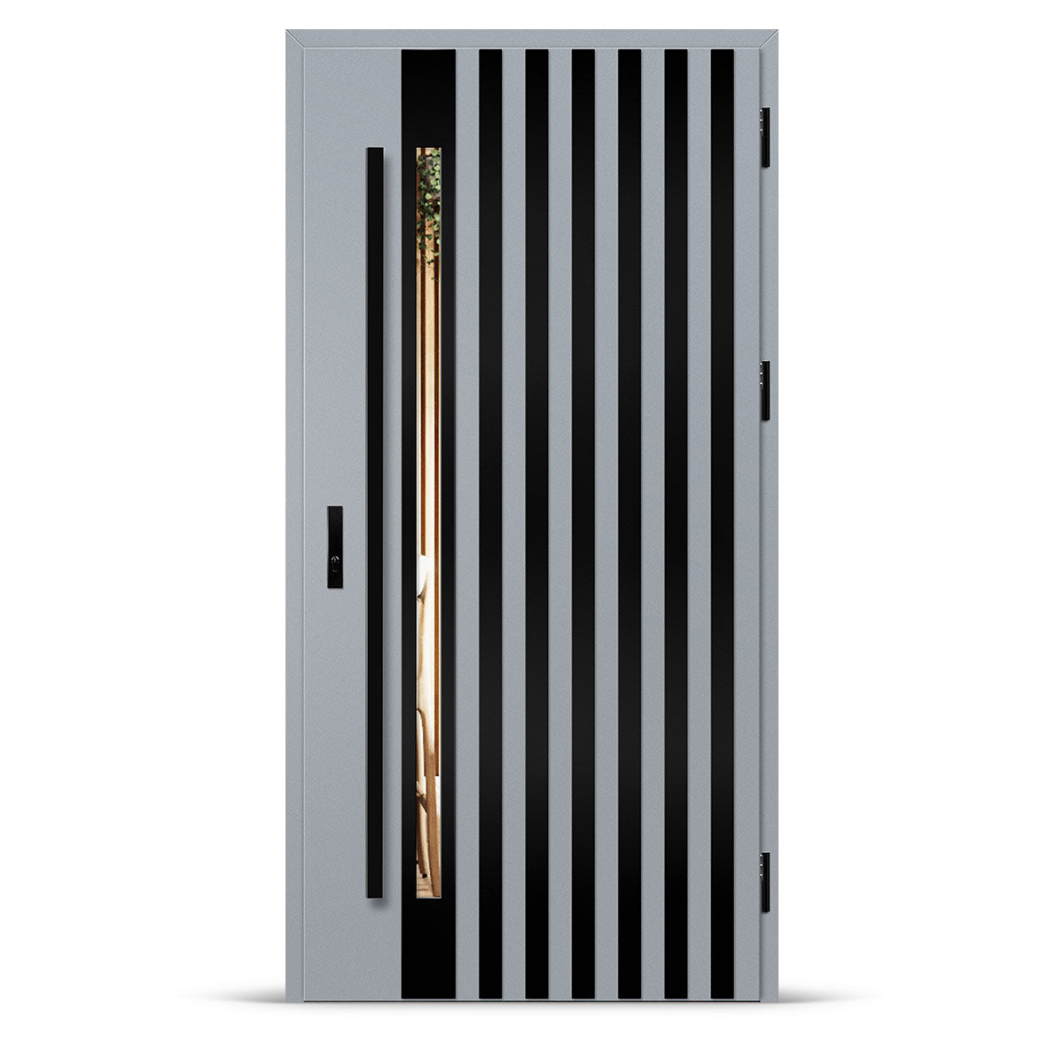 Входна врата LANGEN 12