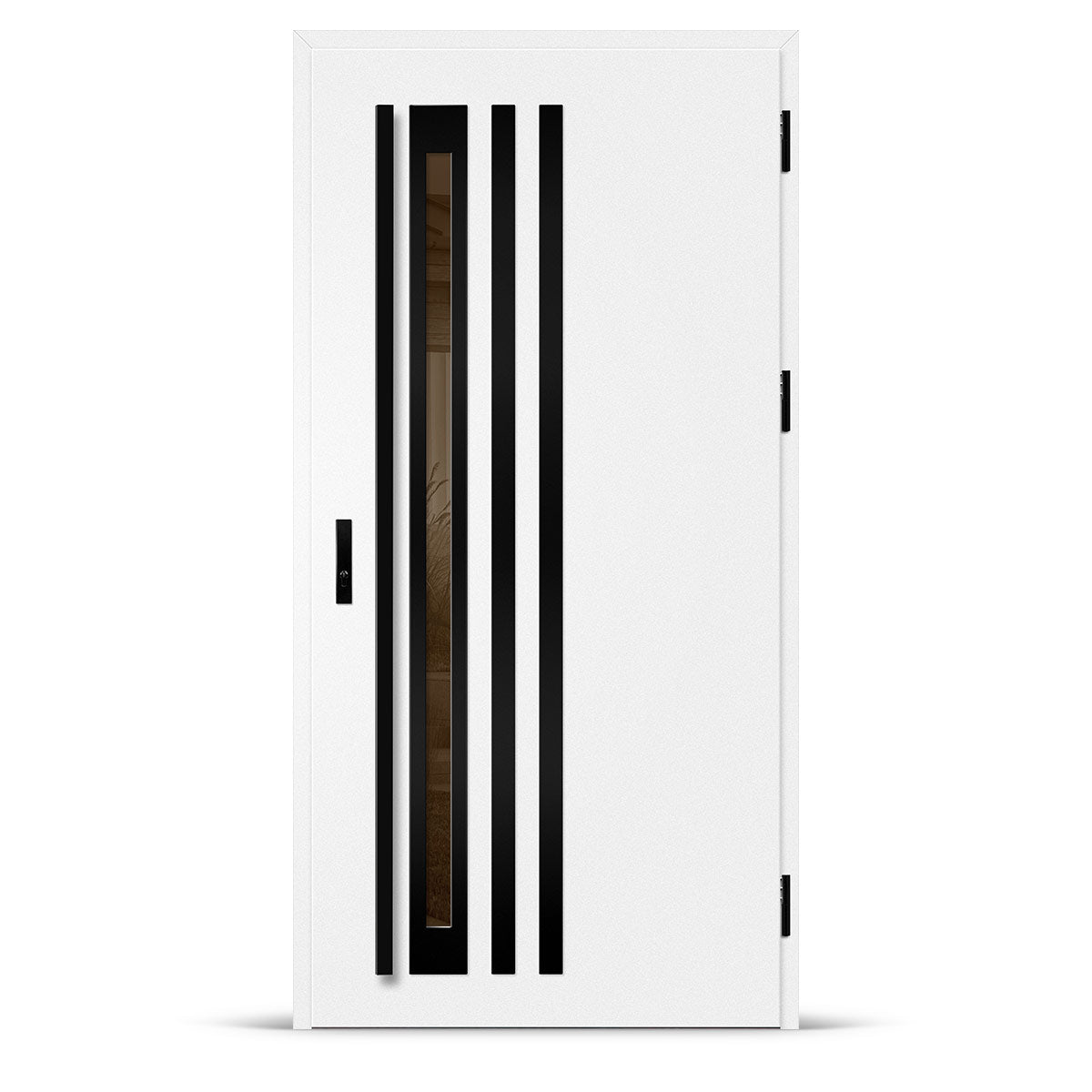 Входна врата TREBUR 11