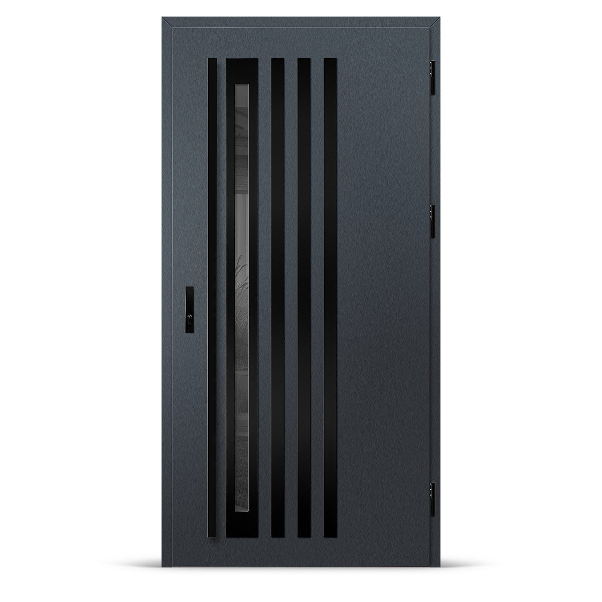 Входна врата TREBUR 12