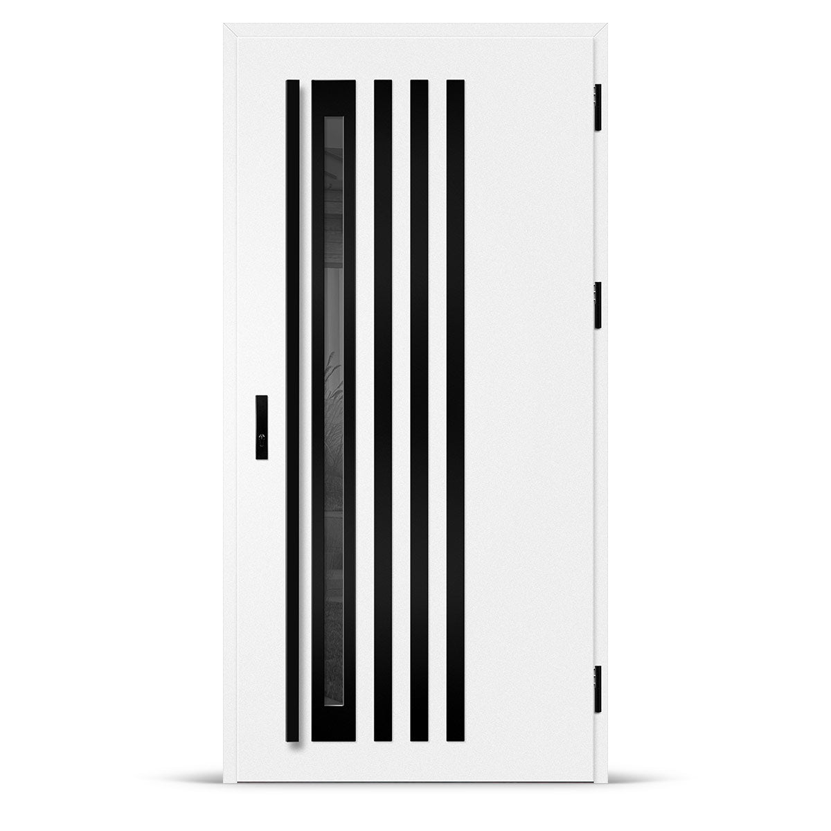 Входна врата TREBUR 12